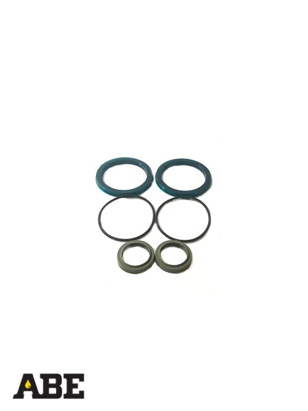 Can Lift Seal Kit